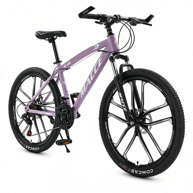 Purple 10-Speed High-End Mount - đánh giá và giá Cycling Low Gear