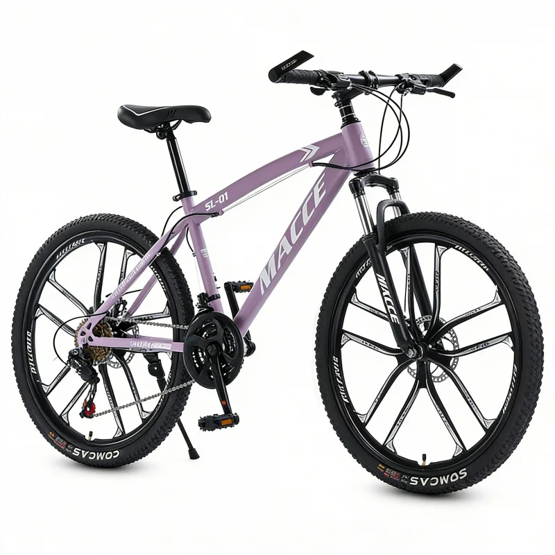 Purple 10-Speed High-End Mount - đánh giá và giá Cycling Low Gear