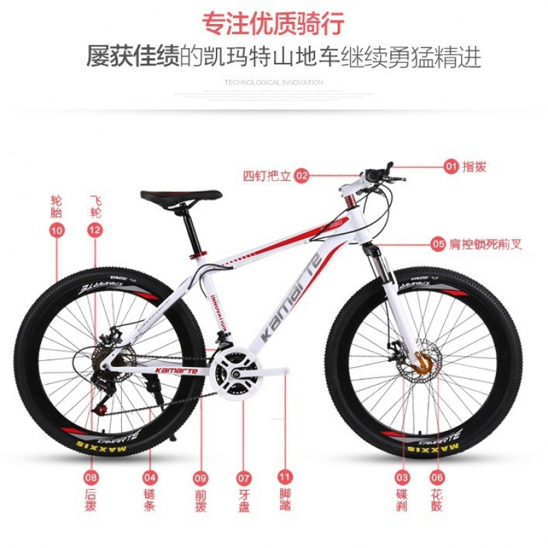 26-inch Youth & Adult Mountain - đánh giá và giá Cycling Low Gear