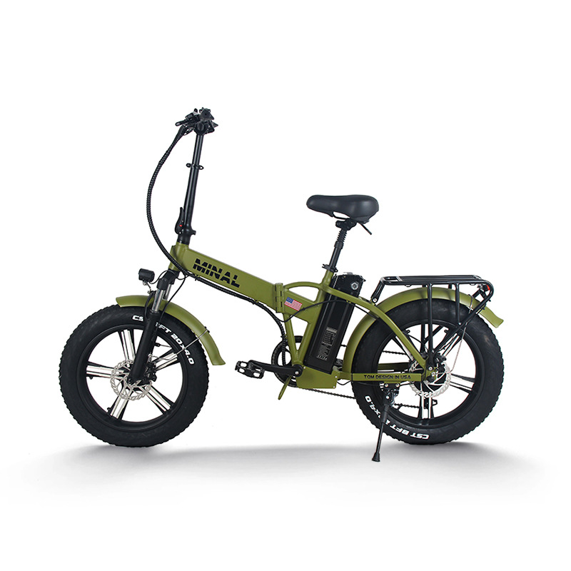48V 350W 10.5Ah FTC200 Electri - đánh giá và giá Cycling Gear And Equipment