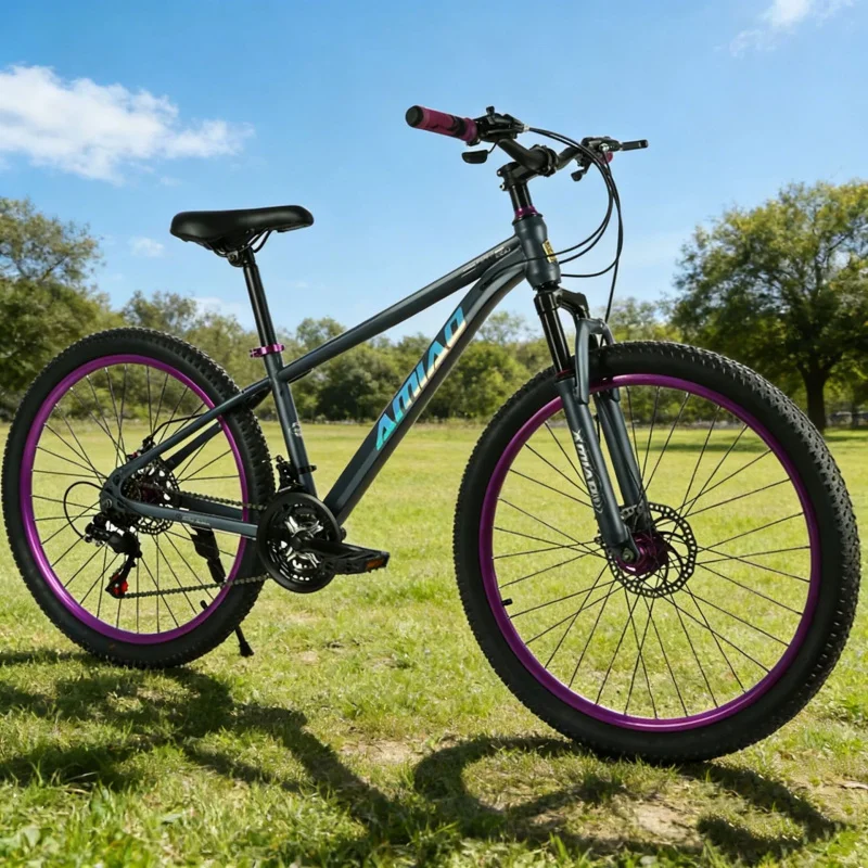 Multi-speed Mountain Bike Ligh - đánh giá và giá Cycling Low Gear