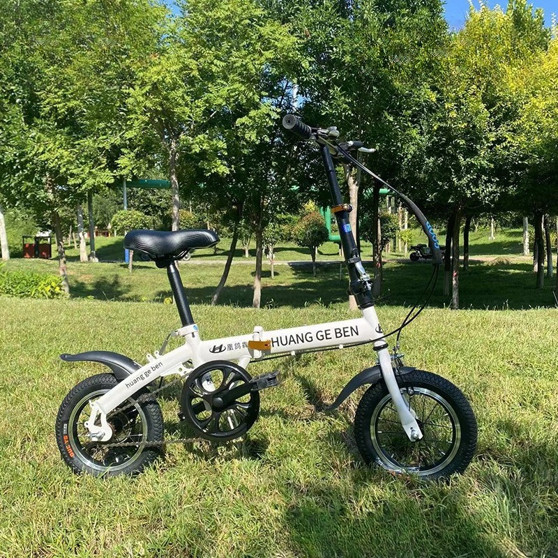 20 Inch Folding Bikes Adult Va - đánh giá và giá Cycling Low Gear
